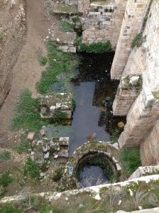 The ruins of the pools at St. Anne's. Fun fact, this is French territory.